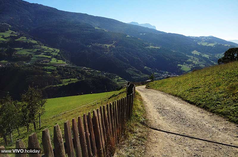 Sentiero delle castagne