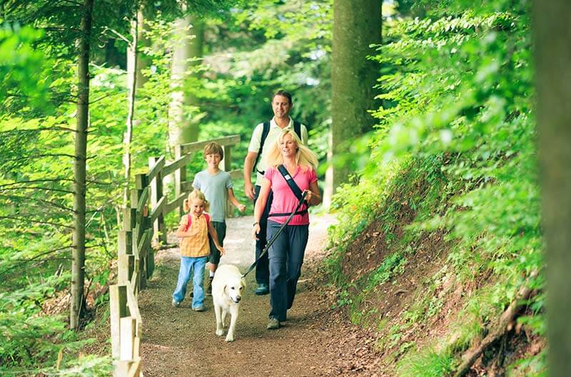 Sentiero dei Vigneti