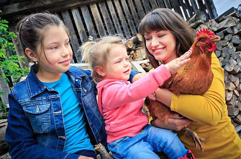 Agriturismi in Valle Isarco